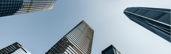 Executive business travel service